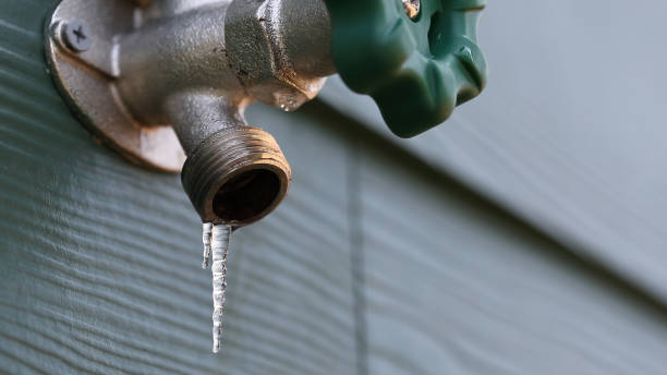 Best Affordable Plumbing Services  in Prospect Rk, PA